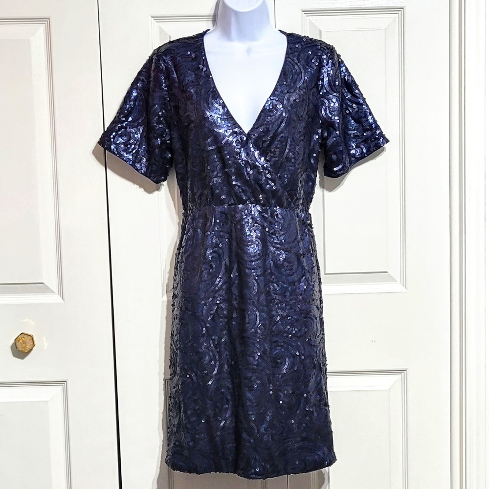 Francesca's Navy Blue Full Sequined Dress
